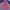 Uniqlo Sportswear Casual Puffer jacket Wanita burgundy red photo 4