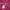 Uniqlo Sportswear Casual Puffer jacket Wanita burgundy red photo 5