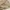 Minimalist Casual Mini skirt Wanita tan cream photo 3