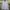 Clride Minimalist Casual Formal shirt Pria white navy photo 1