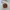 Vintage Beach bag Wanita tan brown photo 1