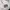 Sportswear Windbreaker Pria white photo 3