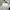 Casual Formal pants Pria white photo 1