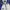 Sportswear Windbreaker Pria White Blue