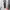 Dickies Streetwear Casual Sweatpants & Joggers Pria black photo 1