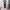 Dickies Streetwear Casual Sweatpants & Joggers Pria Black
