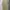 Casual Muslim Casual dress Wanita khaki photo 2