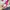 Ellesse Vintage Streetwear Windbreaker Pria pink photo 7