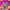 Ellesse Vintage Streetwear Windbreaker Pria pink photo 3