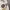 Japanese brand Vintage Streetwear Windbreaker Pria white photo 4