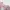 Supreme Streetwear Sweater Wanita pink photo 3