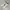 Adidas Casual Sneakers Pria white photo 2