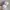 Adidas Casual Sneakers Pria white photo 3