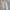 Minimalist Casual Wanita white blue photo 1