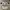 Vintage Jersey Pria white photo 1
