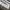 Vintage Jersey Pria white photo 4