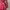 Vintage Suit Pria red photo 4