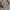 Vintage Y2K Brief Pria gray photo 5