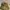 Stussy Luxury Skater Hat Pria tan photo 1