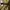 Stussy Luxury Skater Hat Pria tan photo 5