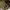 Stussy Luxury Skater Hat Pria tan photo 8
