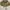 Stussy Luxury Skater Hat Pria tan photo 3