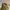 Stussy Luxury Skater Hat Pria Tan