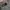 Vintage Fleece Pria gray photo 3
