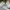 Nike Streetwear Sportswear Sneakers Pria white navy photo 5