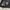 Stussy Streetwear Sportswear Sweatpants & Joggers Pria white black photo 5