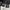 Stussy Streetwear Sportswear Sweatpants & Joggers Pria white black photo 4