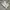 Sportswear Casual Jersey Pria white photo 1