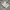 Sportswear Casual Jersey Pria White