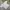 Sportswear Casual Jersey Pria white photo 5