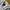Umbro Casual Windbreaker Pria white photo 6