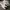 New Balance Streetwear Skater Sneakers Pria white blue photo 4