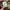 Schott NYC Vintage Casual Parka Pria tan photo 6