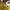 Adidas Sportswear Puffer jacket Pria purple yellow photo 3