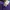 Adidas Sportswear Puffer jacket Pria purple yellow photo 5