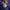 Adidas Sportswear Puffer jacket Pria purple yellow photo 4