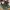 Yeezy Streetwear Y2K Sandals & slide Pria black blue photo 1