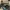 Yeezy Streetwear Y2K Sandals & slide Pria black blue photo 2