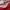 ASOS Cottagecore Casual Summer Dress Wanita Red
