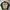 Nike Casual Track Jacket Pria Tan Navy