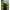 Volcom Gorpcore Sportswear Windbreaker Pria blue yellow photo 2