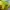 Volcom Gorpcore Sportswear Windbreaker Pria blue yellow photo 4