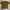 Carhartt Streetwear T-shirt Pria multicolor photo 1