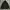 Carhartt Streetwear Hoody Pria green photo 1