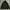 Carhartt Streetwear Hoody Pria Green