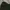Carhartt Streetwear Hoody Pria green photo 2